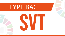 Type BAC SVT